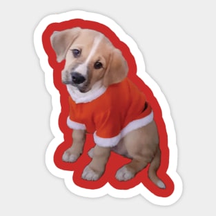 Puppy in Santa suit Sticker